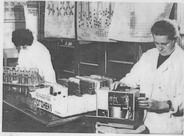 1970 год. В лаборатории